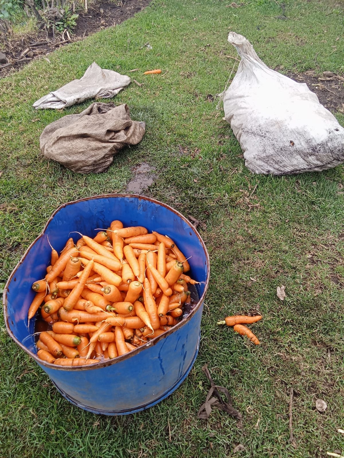 Farm-to-Table
